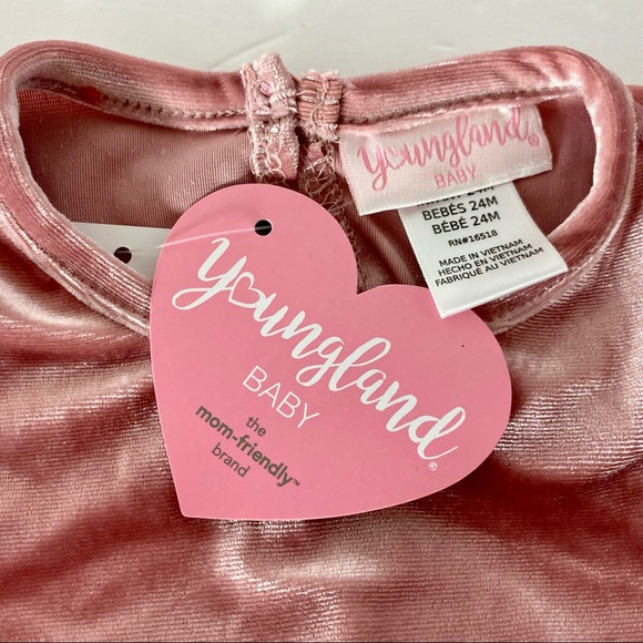 Toddler Girl Youngland Velvet Pleated Skirt Dress - Picture 12 of 16